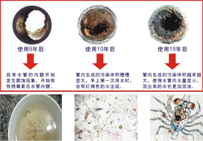 低成本創業項目